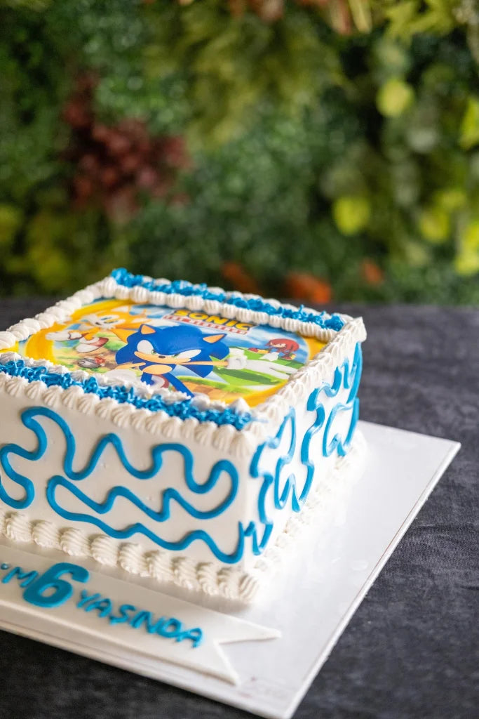 Butik Resimli Kirpi Sonic Pastas